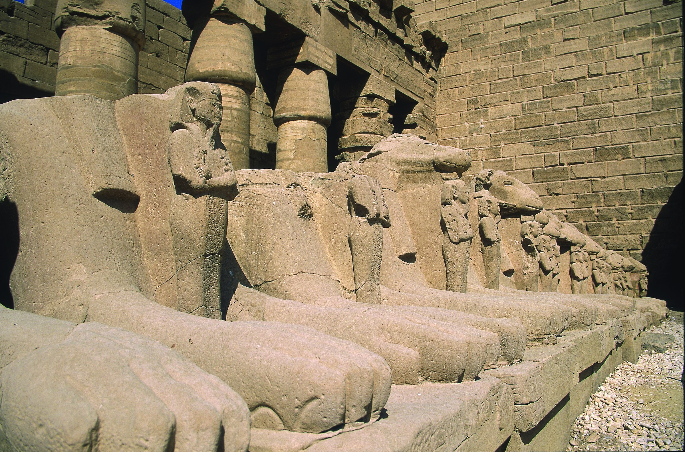 Karnak : les sphinx à tête de bélier devant le premier pylône